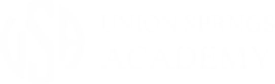 USA Logo